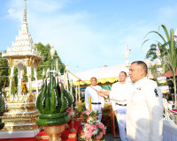 ผู้ว่าฯ สุราษฎร์ธานีนำข้าราชการและพ่อค้าประชาชนร่วมพิธีบวงสร ... พารามิเตอร์รูปภาพ 25