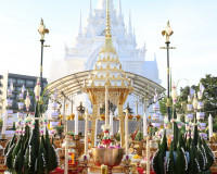 ผู้ว่าฯ สุราษฎร์ธานีนำข้าราชการและพ่อค้าประชาชนร่วมพิธีบวงสร ... พารามิเตอร์รูปภาพ 45