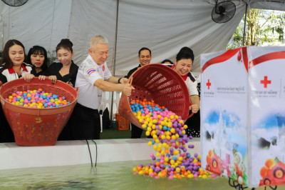 รองผู้ว่าฯ จังหวัดสุราษฎร์ธานี เปิดร้านนาวากาชาด คืนที่สอง ใ ... พารามิเตอร์รูปภาพ 1