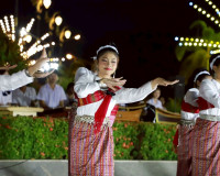 รองผู้ว่าราชการจังหวัดสุราษฎร์ธานี เป็นประธานรับชมการแสดงสมโ ... พารามิเตอร์รูปภาพ 7