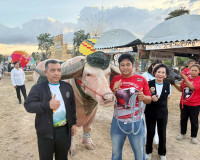 เปิดงานยิ่งใหญ่ “ฤดูกาลดนตรีท่ามกลางขุนเขา” (Music Mountain  ... พารามิเตอร์รูปภาพ 3