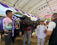 รองผู้ว่าฯ สุราษฎร์ธานี มอบถ้วยพระราชทานฯ ในกิจกรรมการประกวด ... พารามิเตอร์รูปภาพ 3