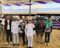 รองผู้ว่าฯ สุราษฎร์ธานี มอบถ้วยพระราชทานฯ ในกิจกรรมการประกวด ... พารามิเตอร์รูปภาพ 11