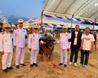 รองผู้ว่าฯ สุราษฎร์ธานี มอบถ้วยพระราชทานฯ ในกิจกรรมการประกวด ... พารามิเตอร์รูปภาพ 13