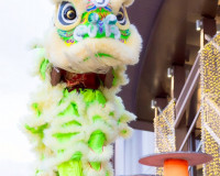 สุราษฎร์ธานีจัดงานตรุษจีน 2026 กระตุ้นท่องเที่ยว–เศรษฐกิจ พร ... พารามิเตอร์รูปภาพ 13