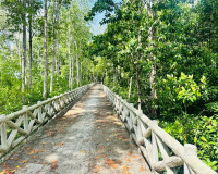 รองผู้ว่าราชการจังหวัดสุราษฎร์ธานี ลงพื้นที่ตรวจเยี่ยมการดำเ ... พารามิเตอร์รูปภาพ 10