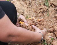 ผู้ว่าฯ สุราษฎร์ธานี ร่วมติดตามการดำเนินงานโครงการชุมชนพลังเ ... พารามิเตอร์รูปภาพ 17