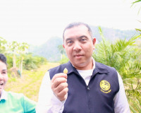 ผู้ว่าฯ สุราษฎร์ธานี ร่วมติดตามการดำเนินงานโครงการชุมชนพลังเ ... พารามิเตอร์รูปภาพ 52