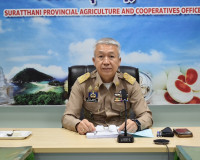 รองผู้ว่าราชการจังหวัดสุราษฎร์ธานี เป็นประธานประชุมคัดเลือกก ... พารามิเตอร์รูปภาพ 1