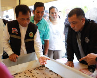 จังหวัดสุราษฎร์ธานี ลงนาม MOU “Koh Tao : Say NO to Single-Us ... พารามิเตอร์รูปภาพ 62