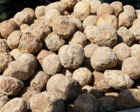 สุราษฎร์ธานี จัดกิจกรรมจิตอาสาพัฒนาสวนสาธารณะบึงขุนทะเล น้อม ... พารามิเตอร์รูปภาพ 18