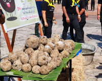 สุราษฎร์ธานี จัดกิจกรรมจิตอาสาพัฒนาสวนสาธารณะบึงขุนทะเล น้อม ... พารามิเตอร์รูปภาพ 24