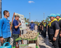 สุราษฎร์ธานี จัดกิจกรรมจิตอาสาพัฒนาสวนสาธารณะบึงขุนทะเล น้อม ... พารามิเตอร์รูปภาพ 28