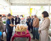 รองผู้ว่าฯ สุราษฎร์ธานีนำคณะลงพื้นที่ตรวจประเมินผลงานและตัดส ... พารามิเตอร์รูปภาพ 4