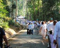 พลังศรัทธาเนืองแน่น! สุราษฎร์ธานีรวมใจเป็นหนึ่ง แห่ผ้าห่มพระ ... พารามิเตอร์รูปภาพ 20