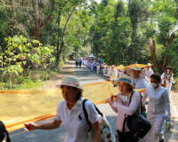 พลังศรัทธาเนืองแน่น! สุราษฎร์ธานีรวมใจเป็นหนึ่ง แห่ผ้าห่มพระ ... พารามิเตอร์รูปภาพ 43