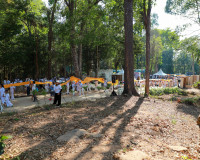 พลังศรัทธาเนืองแน่น! สุราษฎร์ธานีรวมใจเป็นหนึ่ง แห่ผ้าห่มพระ ... พารามิเตอร์รูปภาพ 74