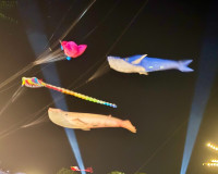 เปิดยิ่งใหญ่ เทศกาลงานว่าวสุราษฎร์ธานี 2569 ส่งเสริมการท่องเ ... พารามิเตอร์รูปภาพ 9