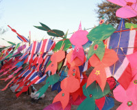 เปิดยิ่งใหญ่ เทศกาลงานว่าวสุราษฎร์ธานี 2569 ส่งเสริมการท่องเ ... พารามิเตอร์รูปภาพ 10