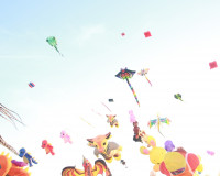 เปิดยิ่งใหญ่ เทศกาลงานว่าวสุราษฎร์ธานี 2569 ส่งเสริมการท่องเ ... พารามิเตอร์รูปภาพ 14