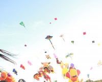 เปิดยิ่งใหญ่ เทศกาลงานว่าวสุราษฎร์ธานี 2569 ส่งเสริมการท่องเ ... พารามิเตอร์รูปภาพ 36