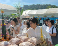 วัดป่าเขาพนมวัง อ.กาญจนดิษฐ์ จัดพิธียกพระเกตุทองคำ พร้อมฉลอง ... พารามิเตอร์รูปภาพ 10