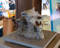 สุราษฎร์ธานี ผนึกกำลัง ปตท.สผ. - ทช. เนรมิต “ลานประติมากรรมใ ... พารามิเตอร์รูปภาพ 10