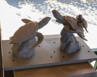 สุราษฎร์ธานี ผนึกกำลัง ปตท.สผ. - ทช. เนรมิต “ลานประติมากรรมใ ... พารามิเตอร์รูปภาพ 19