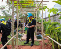 สุราษฎร์ธานีรวมใจภักดิ์! ผู้ว่าฯ นำขบวนจิตอาสาทำความดีเพื่อส ... พารามิเตอร์รูปภาพ 3