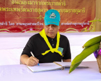 สุราษฎร์ธานีรวมใจภักดิ์! ผู้ว่าฯ นำขบวนจิตอาสาทำความดีเพื่อส ... พารามิเตอร์รูปภาพ 15