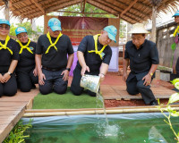 สุราษฎร์ธานีรวมใจภักดิ์! ผู้ว่าฯ นำขบวนจิตอาสาทำความดีเพื่อส ... พารามิเตอร์รูปภาพ 27