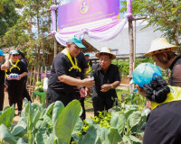 สุราษฎร์ธานีรวมใจภักดิ์! ผู้ว่าฯ นำขบวนจิตอาสาทำความดีเพื่อส ... พารามิเตอร์รูปภาพ 38