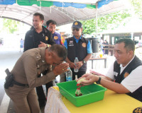ผู้ว่าฯ สุราษฎร์ธานี นำหัวหน้าส่วนราชการตรวจเยี่ยมจุดตรวจ/จุ ... พารามิเตอร์รูปภาพ 76