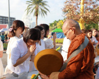 พ่อเมืองสุราษฎร์ธานี นำพุทธศาสนิกชนร่วมทำบุญตักบาตร เนื่องใน ... พารามิเตอร์รูปภาพ 4