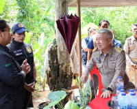 รองผู้ว่าราชการจังหวัดสุราษฎร์ธานี นำคณะลงพื้นที่ติดตามเยี่ย ... พารามิเตอร์รูปภาพ 2