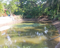 คณะกรรมาธิการเกษตรฯ วุฒิสภา ลงพื้นที่จังหวัดสุราษฎร์ธานีร่วม ... พารามิเตอร์รูปภาพ 2