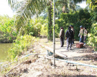 คณะกรรมาธิการเกษตรฯ วุฒิสภา ลงพื้นที่จังหวัดสุราษฎร์ธานีร่วม ... พารามิเตอร์รูปภาพ 9