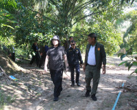 คณะกรรมาธิการเกษตรฯ วุฒิสภา ลงพื้นที่จังหวัดสุราษฎร์ธานีร่วม ... พารามิเตอร์รูปภาพ 11