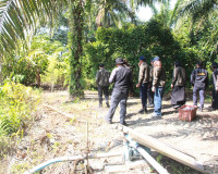 คณะกรรมาธิการเกษตรฯ วุฒิสภา ลงพื้นที่จังหวัดสุราษฎร์ธานีร่วม ... พารามิเตอร์รูปภาพ 12