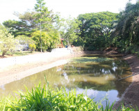 คณะกรรมาธิการเกษตรฯ วุฒิสภา ลงพื้นที่จังหวัดสุราษฎร์ธานีร่วม ... พารามิเตอร์รูปภาพ 25