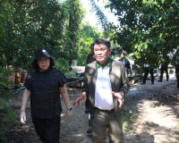 คณะกรรมาธิการเกษตรฯ วุฒิสภา ลงพื้นที่จังหวัดสุราษฎร์ธานีร่วม ... พารามิเตอร์รูปภาพ 29