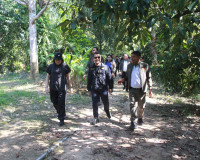 คณะกรรมาธิการเกษตรฯ วุฒิสภา ลงพื้นที่จังหวัดสุราษฎร์ธานีร่วม ... พารามิเตอร์รูปภาพ 33