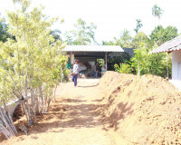 คณะกรรมาธิการเกษตรฯ วุฒิสภา ลงพื้นที่จังหวัดสุราษฎร์ธานีร่วม ... พารามิเตอร์รูปภาพ 36