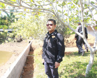 คณะกรรมาธิการเกษตรฯ วุฒิสภา ลงพื้นที่จังหวัดสุราษฎร์ธานีร่วม ... พารามิเตอร์รูปภาพ 39