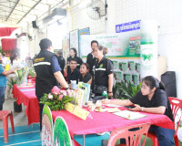 หน่วยงานสังกัดกระทรวงเกษตรและสหกรณ์ในพื้นที่จังหวัดสุราษฎร์ธ ... พารามิเตอร์รูปภาพ 34