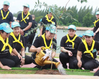 จังหวัดสุราษฎร์ธานีจัดกิจกรรมจิตอาสาพัฒนาและบริการประชาชน เน ... พารามิเตอร์รูปภาพ 27