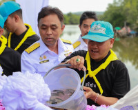รองผู้ว่าราชการจังหวัดสุราษฎร์ธานี เป็นประธานในการจัดกิจกรรม ... พารามิเตอร์รูปภาพ 11
