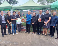 รองผู้ว่าราชการจังหวัดสุราษฎร์ธานี เป็นประธานในพิธีเปิด กิจก ... พารามิเตอร์รูปภาพ 4