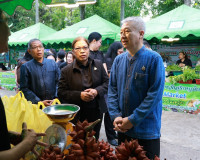 รองผู้ว่าราชการจังหวัดสุราษฎร์ธานี เป็นประธานในพิธีเปิด กิจก ... พารามิเตอร์รูปภาพ 6
