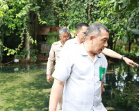 ผู้ว่าฯ สุราษฎร์ ลงพื้นที่ 'อ่างน้ำผุดบางสวรรค์' รับปากเร่งแ ... พารามิเตอร์รูปภาพ 6